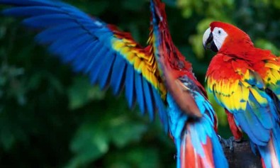 Et et ab recusandae cupiditate mollitia.